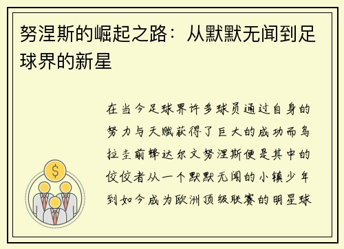 努涅斯的崛起之路：从默默无闻到足球界的新星